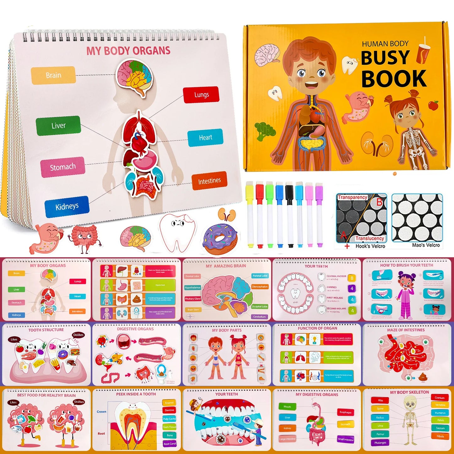 My Body Anatomy Montessori Busy Book - 15-in-1 Human Body Learning Toy